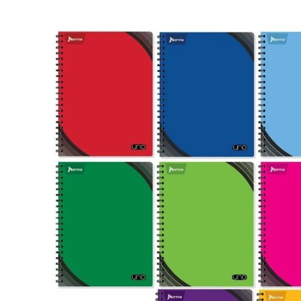 CUADERNO PROF. UNO NORMA 529979 RAYA ESP. 200H. PZA